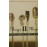 Nathan, Michael, Shawn, Wanya Cassette