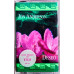 Deseo Cassette