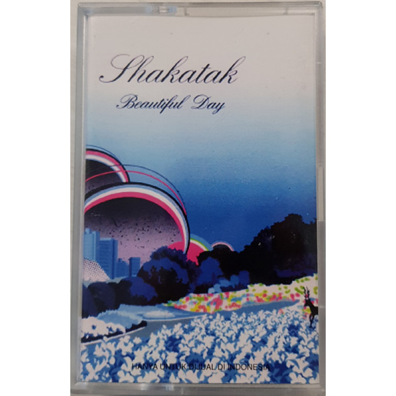 Beautiful Day Cassette