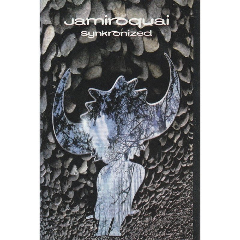 Synkronized Cassette