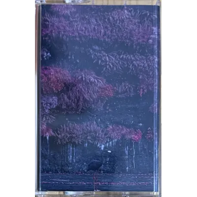 Even In Arcadia Cassette